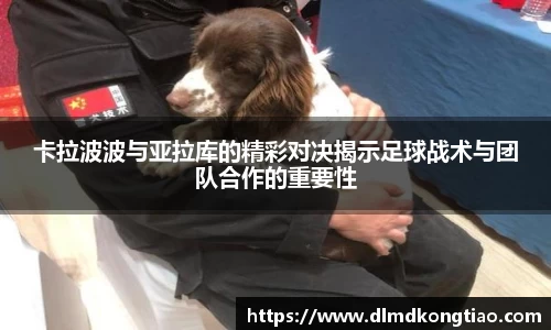 lehu乐虎国际官方网站